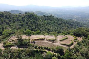 Finca con 5 terrazas