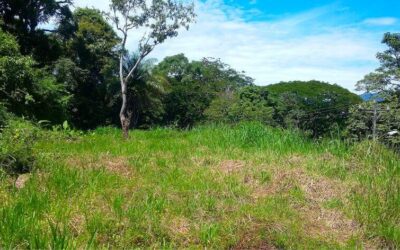 Lote 900m La Presa de Atenas