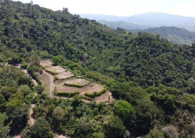 Panorámica vista montañas