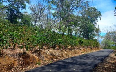 Quintas en Morazán de Atenas