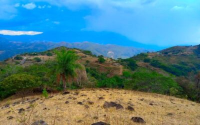 20ha at Hacienda Vieja in Desmonte San Mateo Orotina