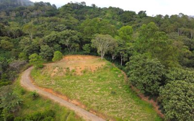Zona de quintas en Atenas