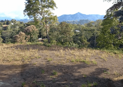 5054m en zona de quintas en Atenas