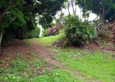9.000m en Altos de Naranjo Atenas