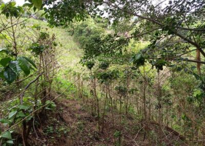 9.000m en Altos de Naranjo Atenas