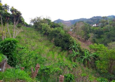 9.000m en Altos de Naranjo Atenas