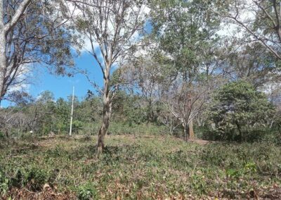 Bosque 3 - Quintas en Morazán