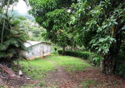 Entrada - 9.000m en Altos de Naranjo Atenas