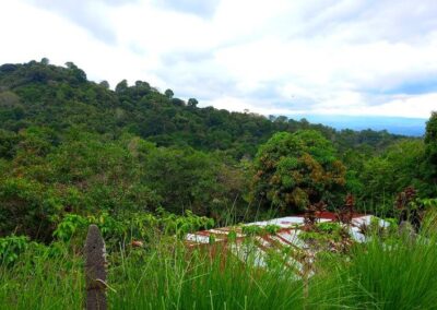 Vista - 9.000m en Altos de Naranjo Atenas