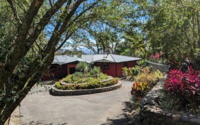 6,007m en San Isidro, calle Zacatal